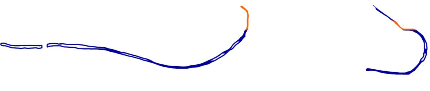 Bajo Nuevo Bank Flag Map