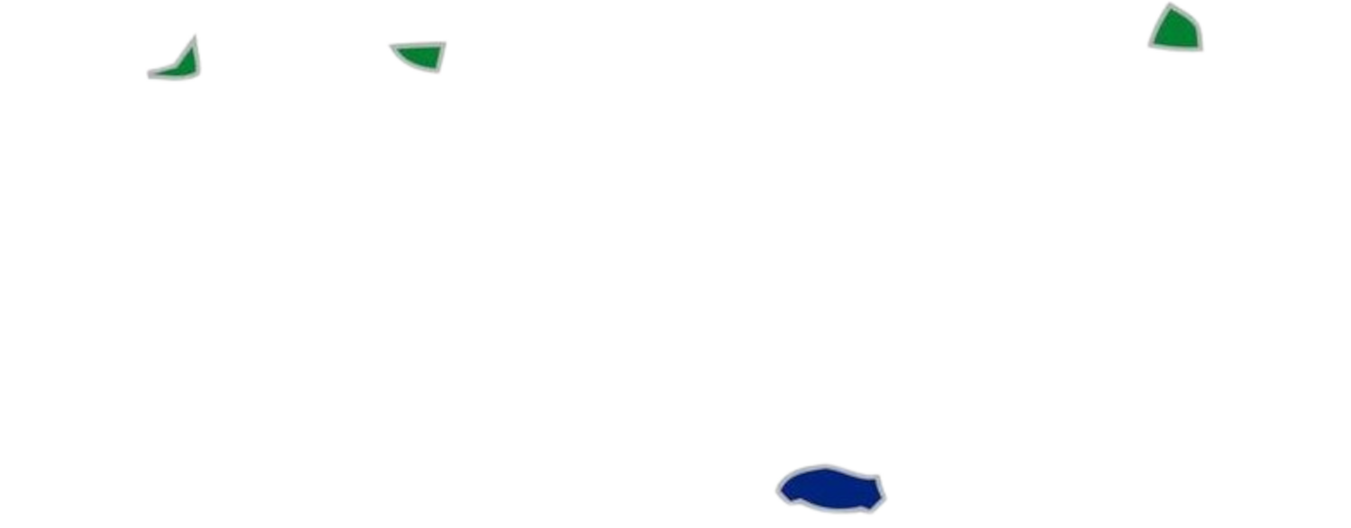 Federal Dependencies of Venezuela Flag Map