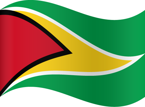 Guyana Flag